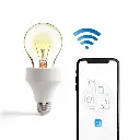 douille-d-ampoule-wifi (3).webp