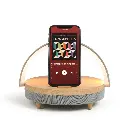 enceinte-led-chargeur-induction-fast-charge (1).webp