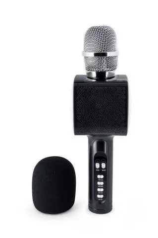 Microphone Bluetooth & Karaoke