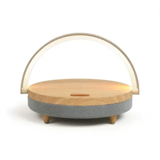 [TES245G] Enceinte compatible Bluetooth